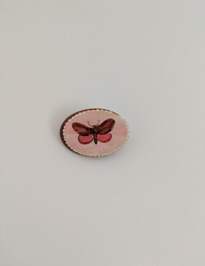 Holzbrosche - Schmetterling